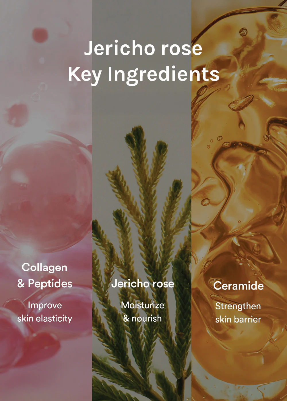 Abib Collagen Gel Mask Jericho Rose Jelly - Image 8