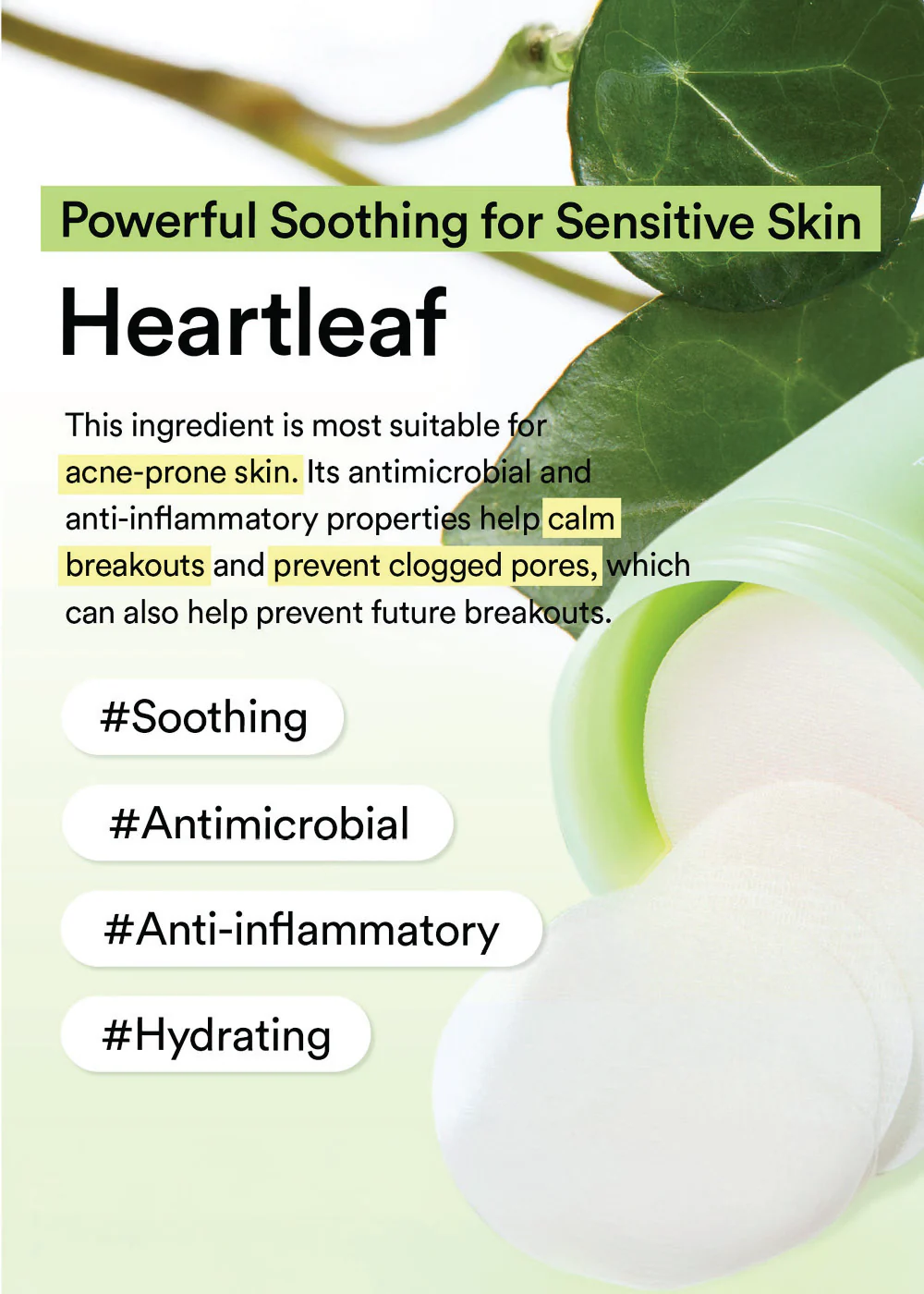 Abib Heartleaf Spot Pad Calming Touch (80 Pads) - Image 7