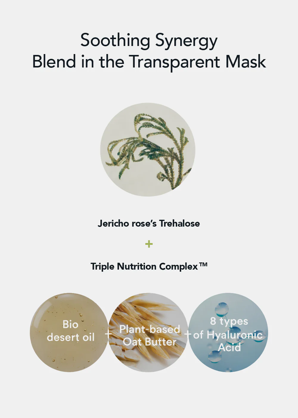 Abib Mild Acidic pH Sheet Mask Jericho Rose Fit - Image 7