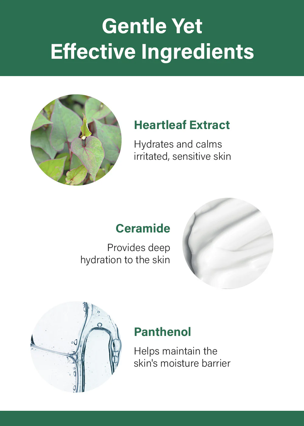 Anua Heartleaf 70 Intense Calming Cream 50ml - Image 5