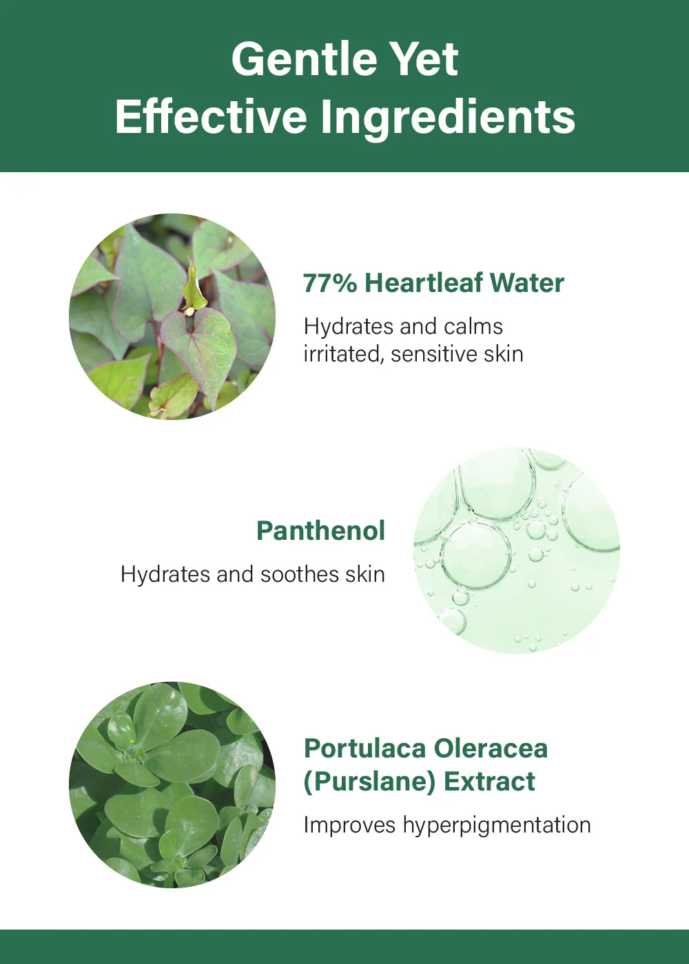 Anua Heartleaf 77 Soothing Toner 250ml - Image 5