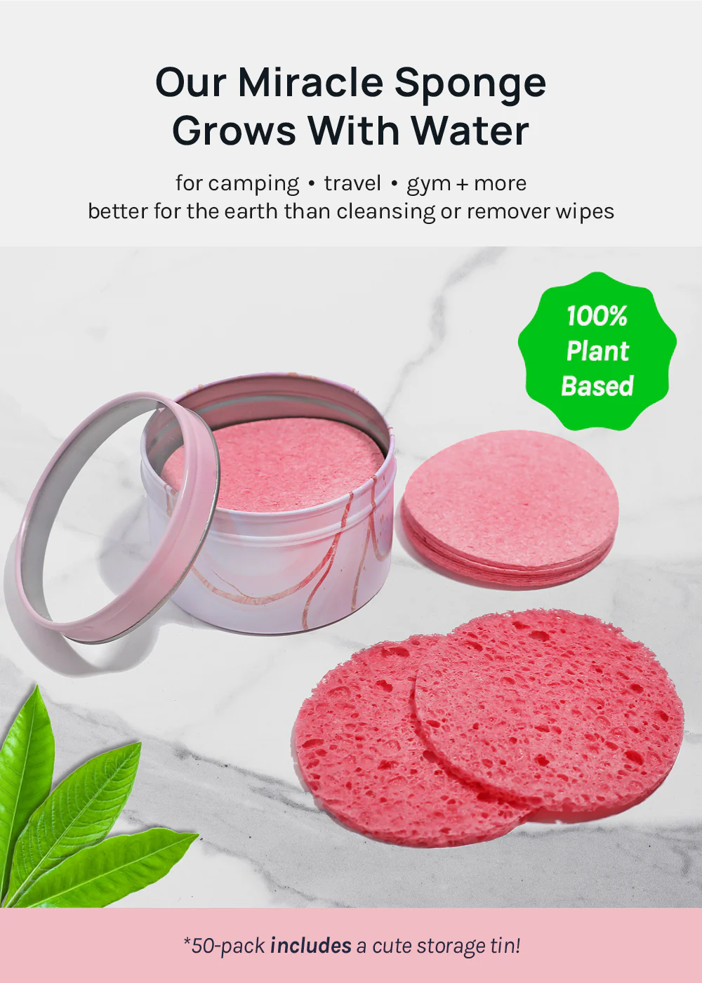 AOA Compressed Facial Sponges - Image 3
