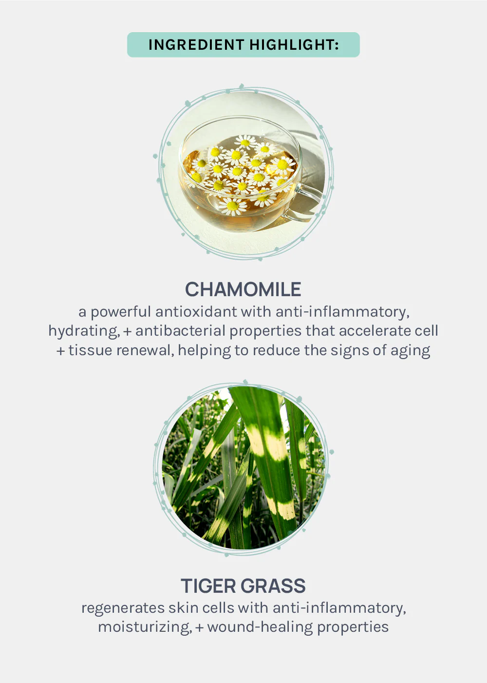 AOA Skin Chamomile Tea Foot Sheet Mask - Image 4