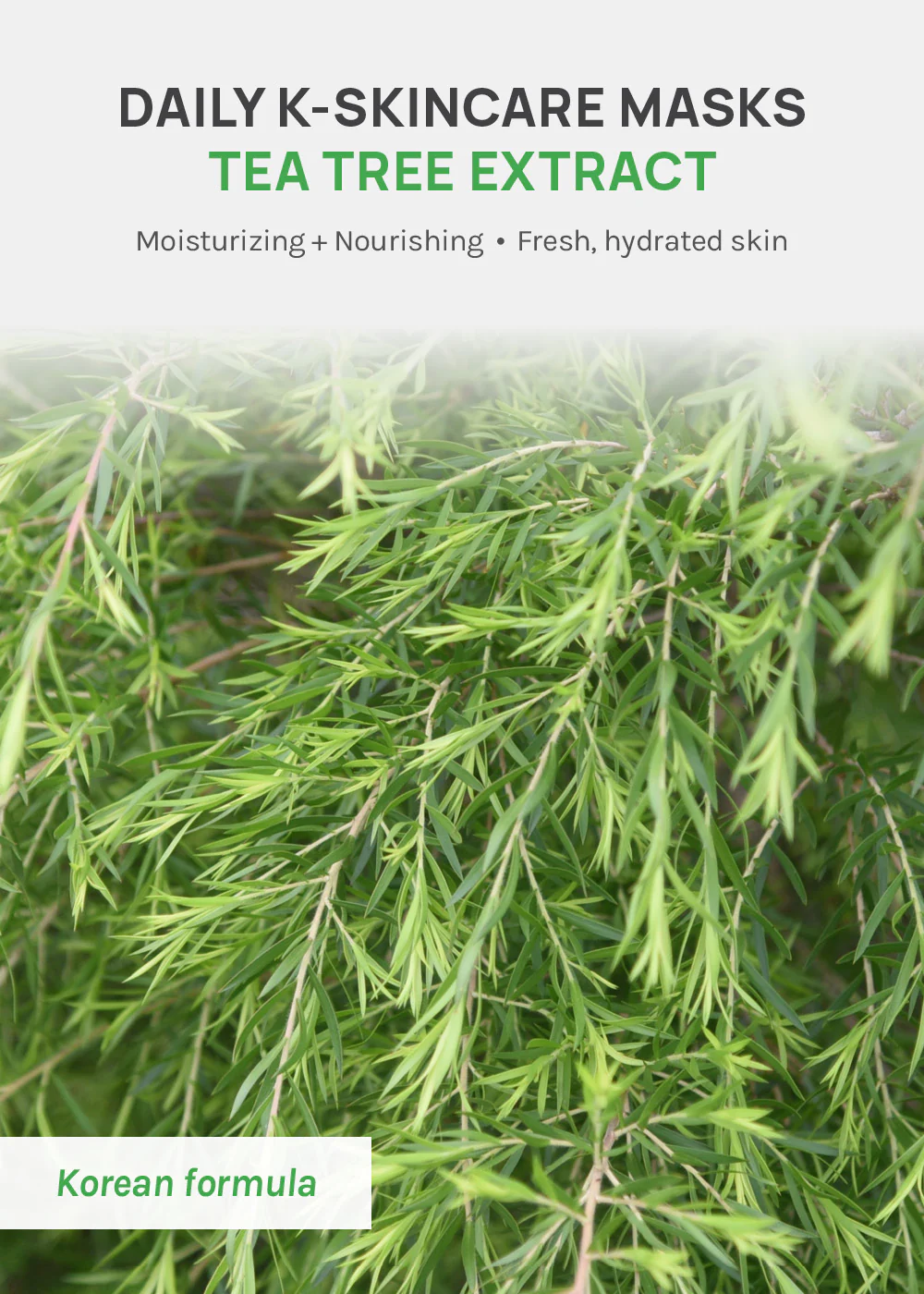 AOA Skin Tea Tree Daily Care Sheet Mask - Image 2