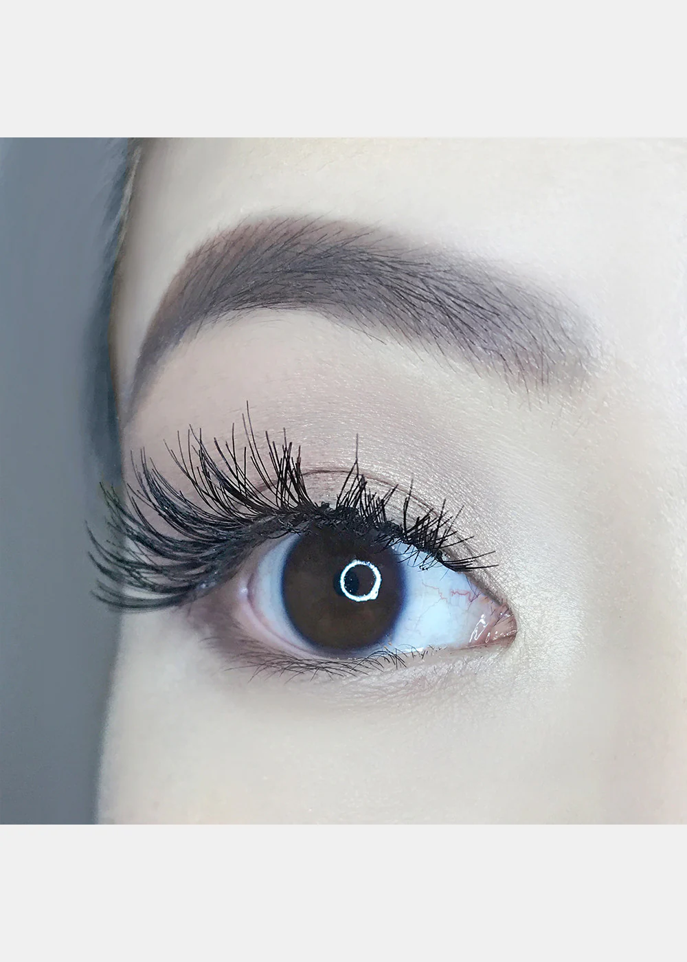 AOA Studio Eyelashes - Alexis 6-Pack - Image 4