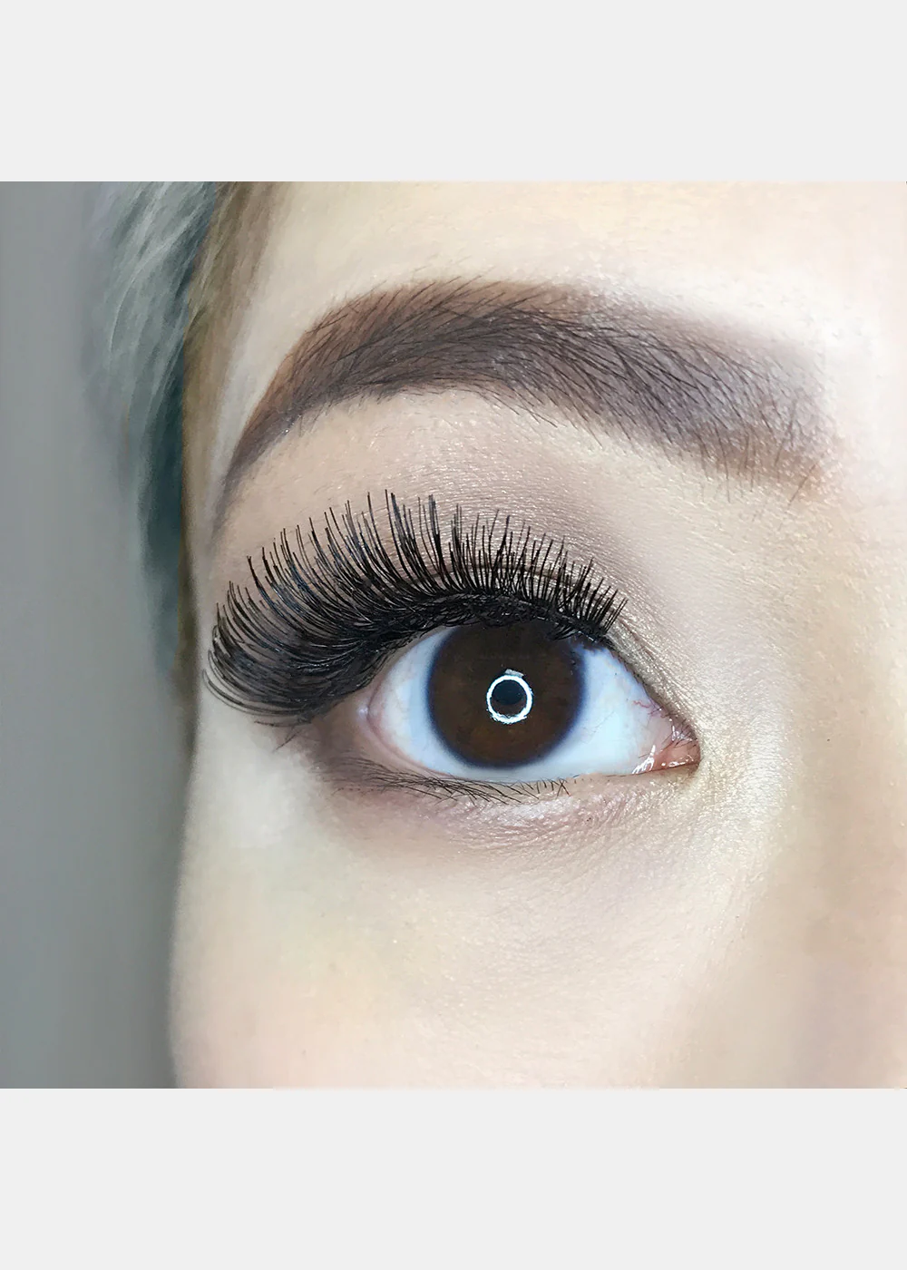 AOA Studio Eyelashes - Aria - Image 7