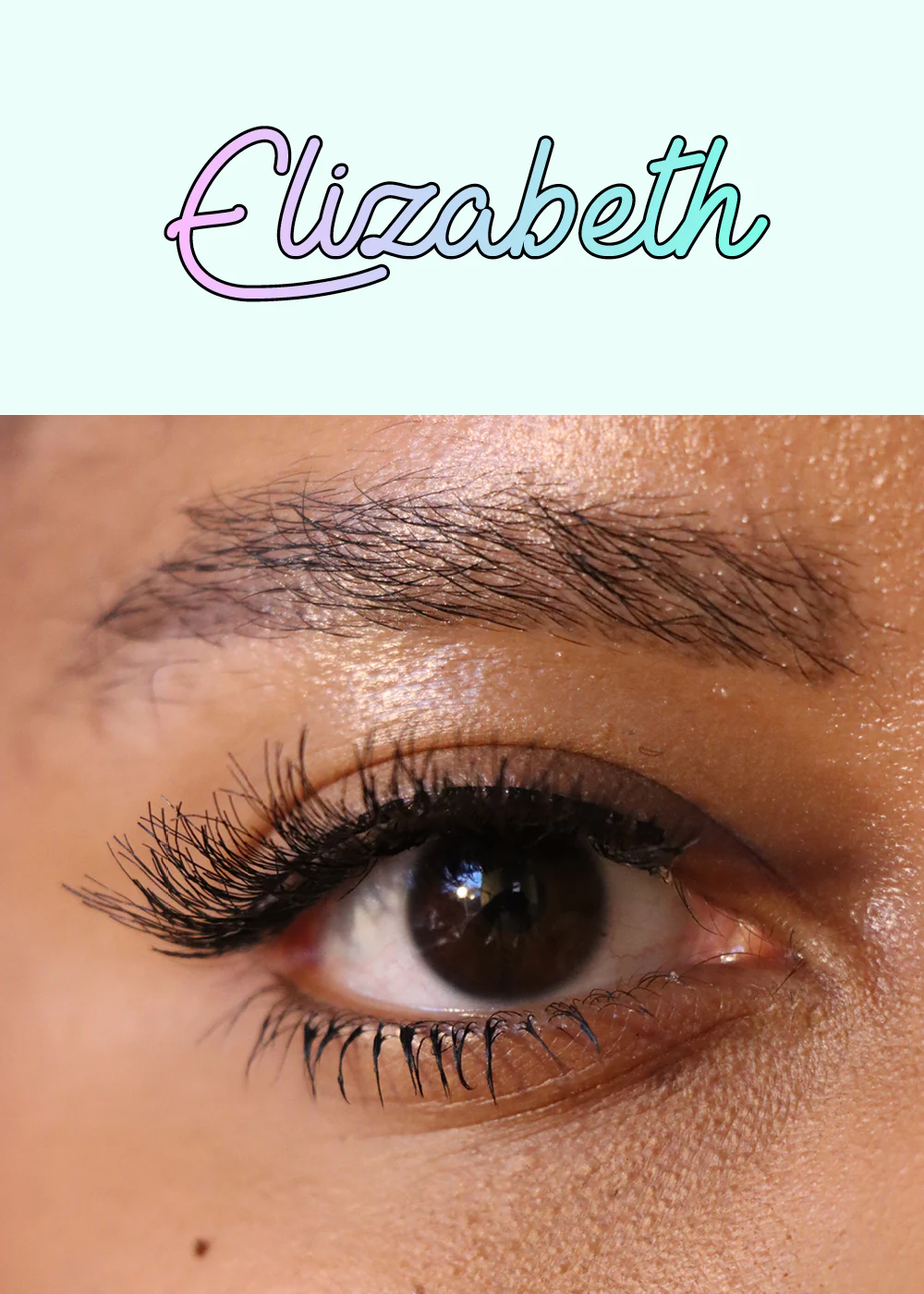 AOA Studio Eyelashes - Elizabeth - Image 3