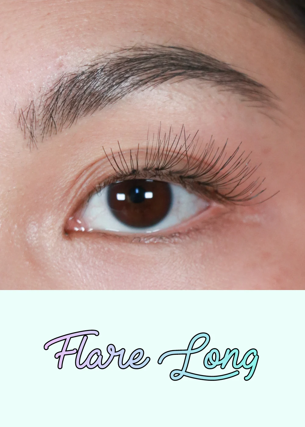 AOA Studio Eyelashes - Flare Long - Image 2