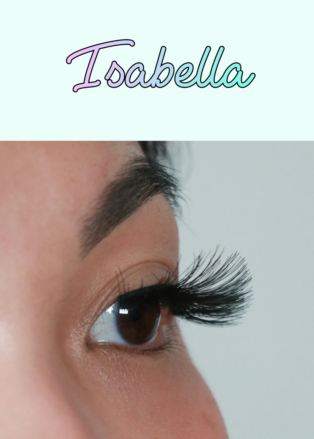 AOA Studio Eyelashes - Isabella - Image 3