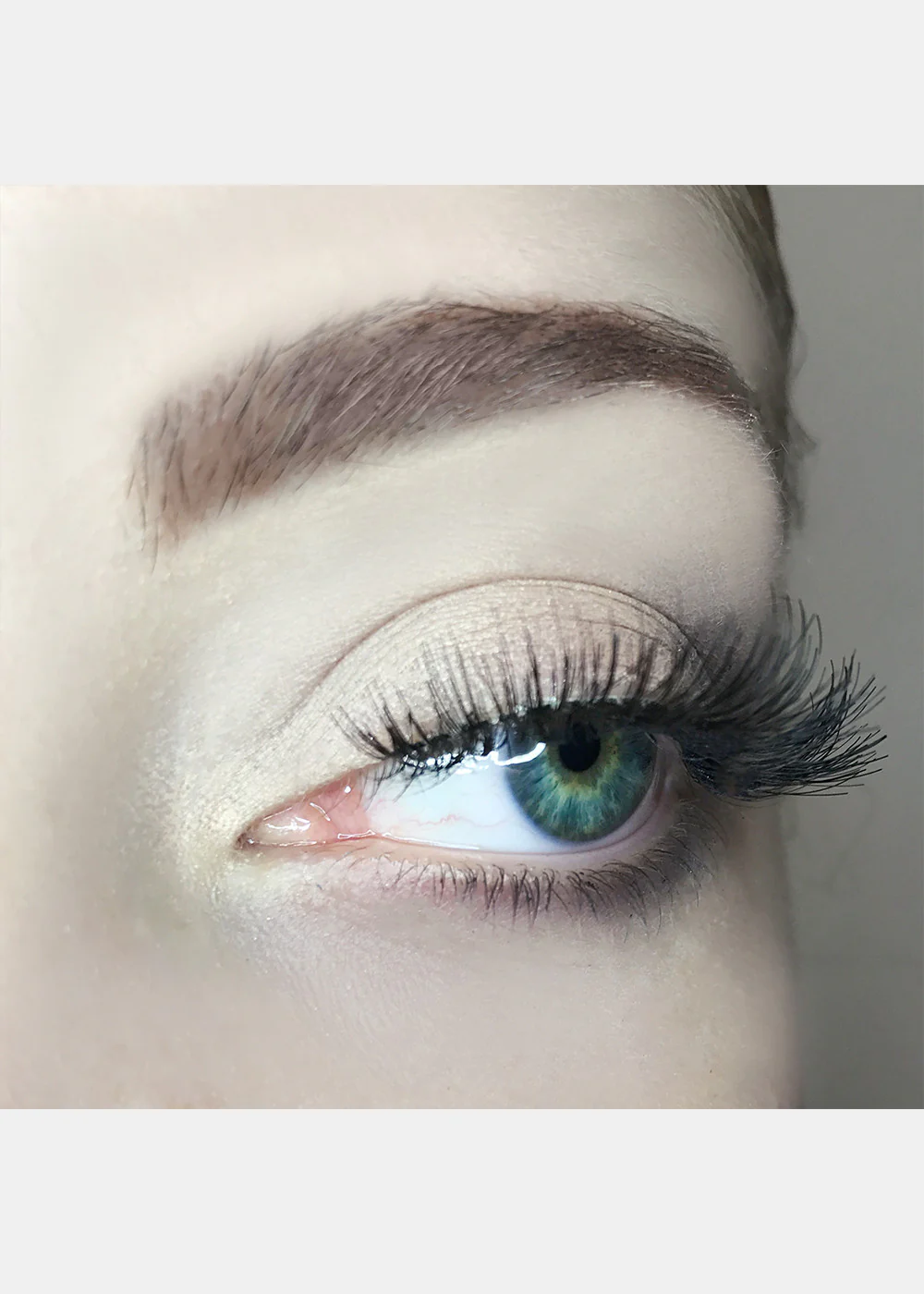 AOA Studio Eyelashes - Luella 6-Pack - Image 5
