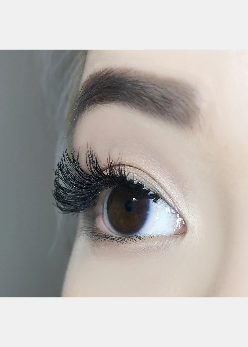 AOA Studio Eyelashes - Scarlette 6-Pack - Image 5
