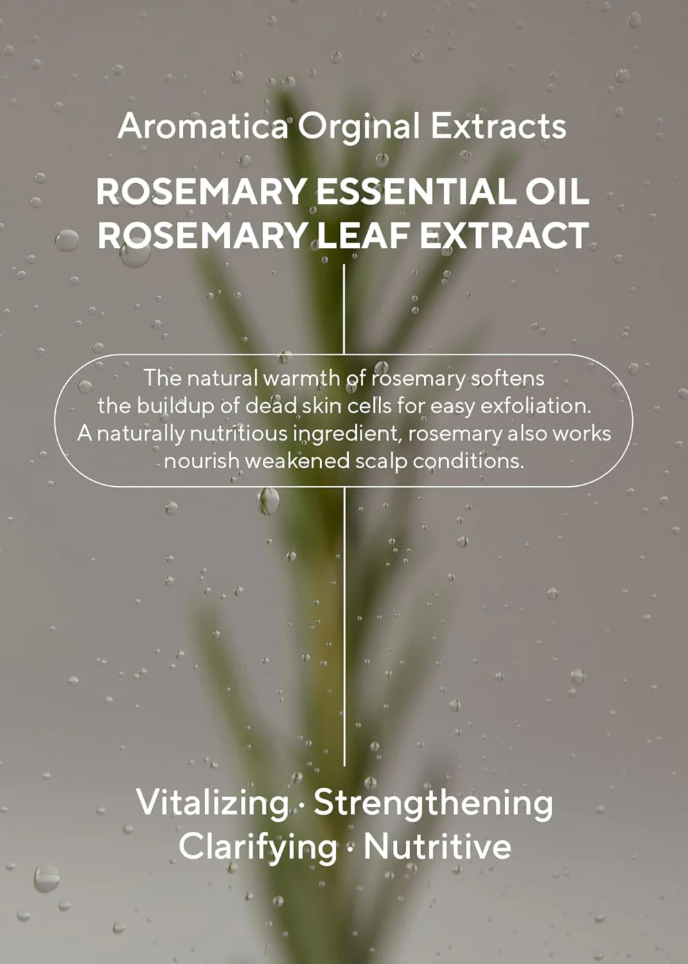 AROMATICA Rosemary 3-in-1 Treatment 160ml - Image 5