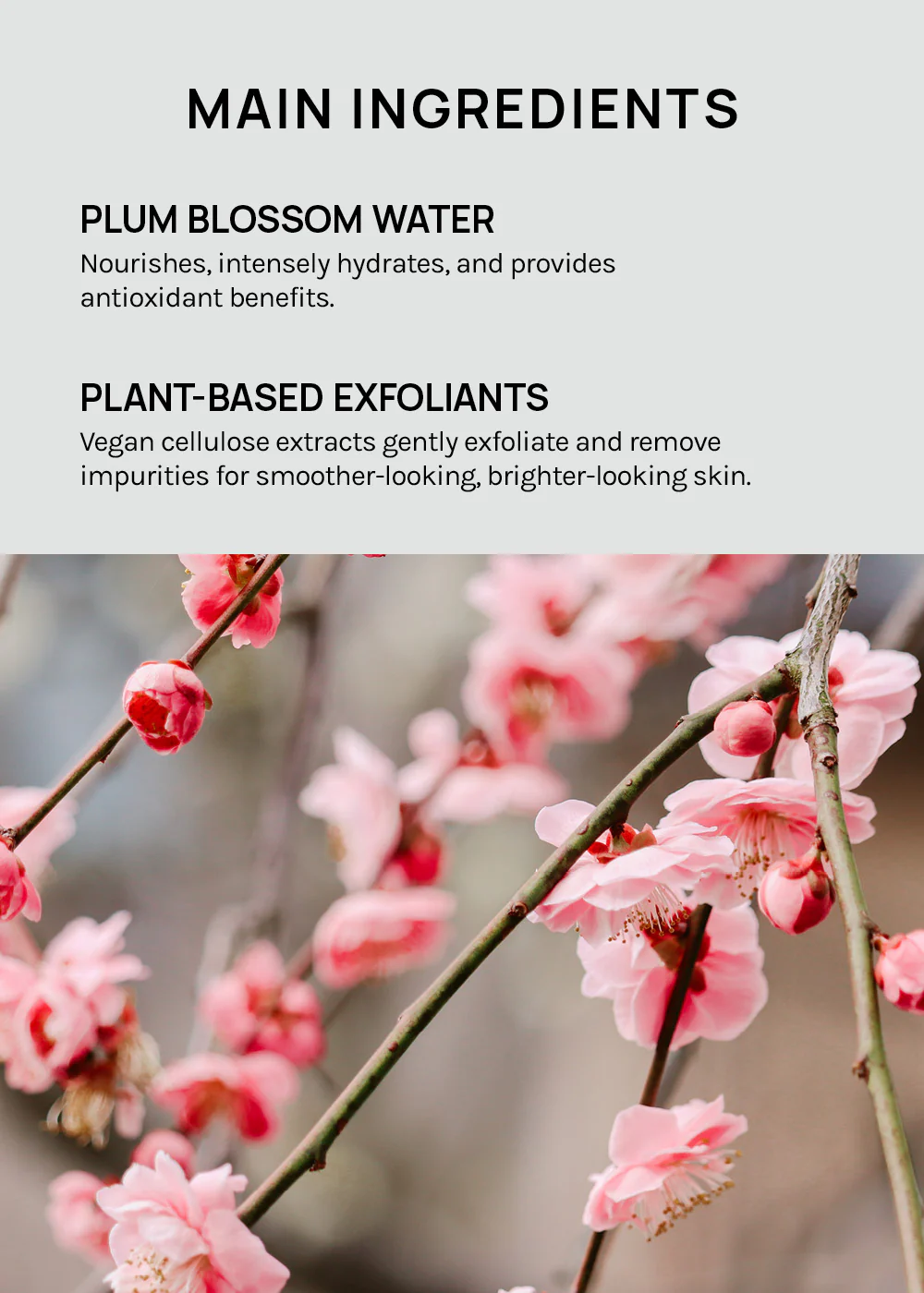 Beauty of Joseon Apricot Blossom Peeling Gel 100ml - Image 4