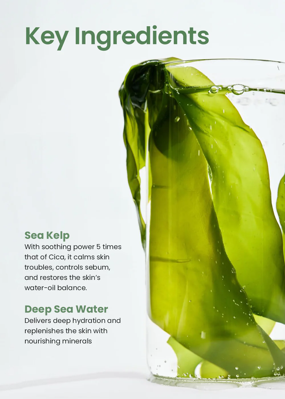 Biodance Refreshing Sea Kelp Real Deep Mask - Image 7