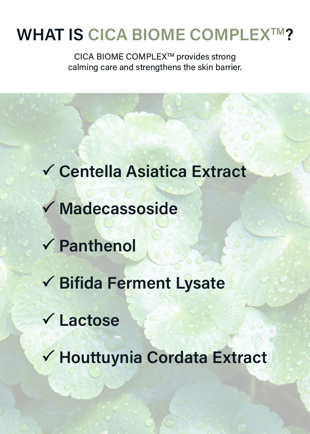 celimax Ji Woo Gae Cica BHA Acne Foam Cleansing 150ml - Image 4