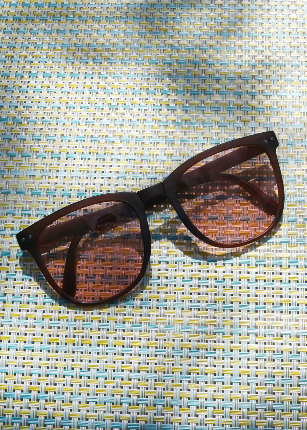 Chic Brown Foldable Shades
