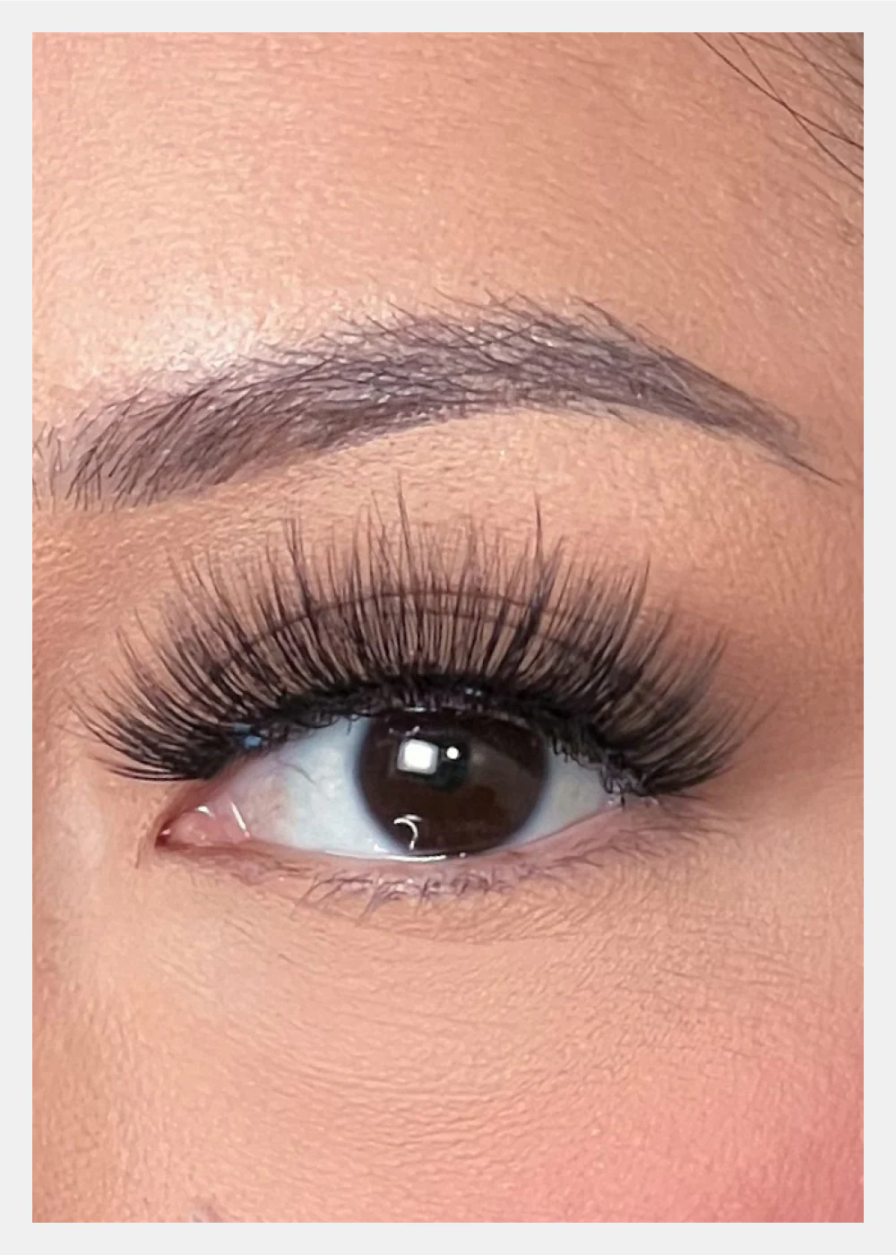 D-LUX Curl Premium Faux Mink Lashes - Ava - Image 2