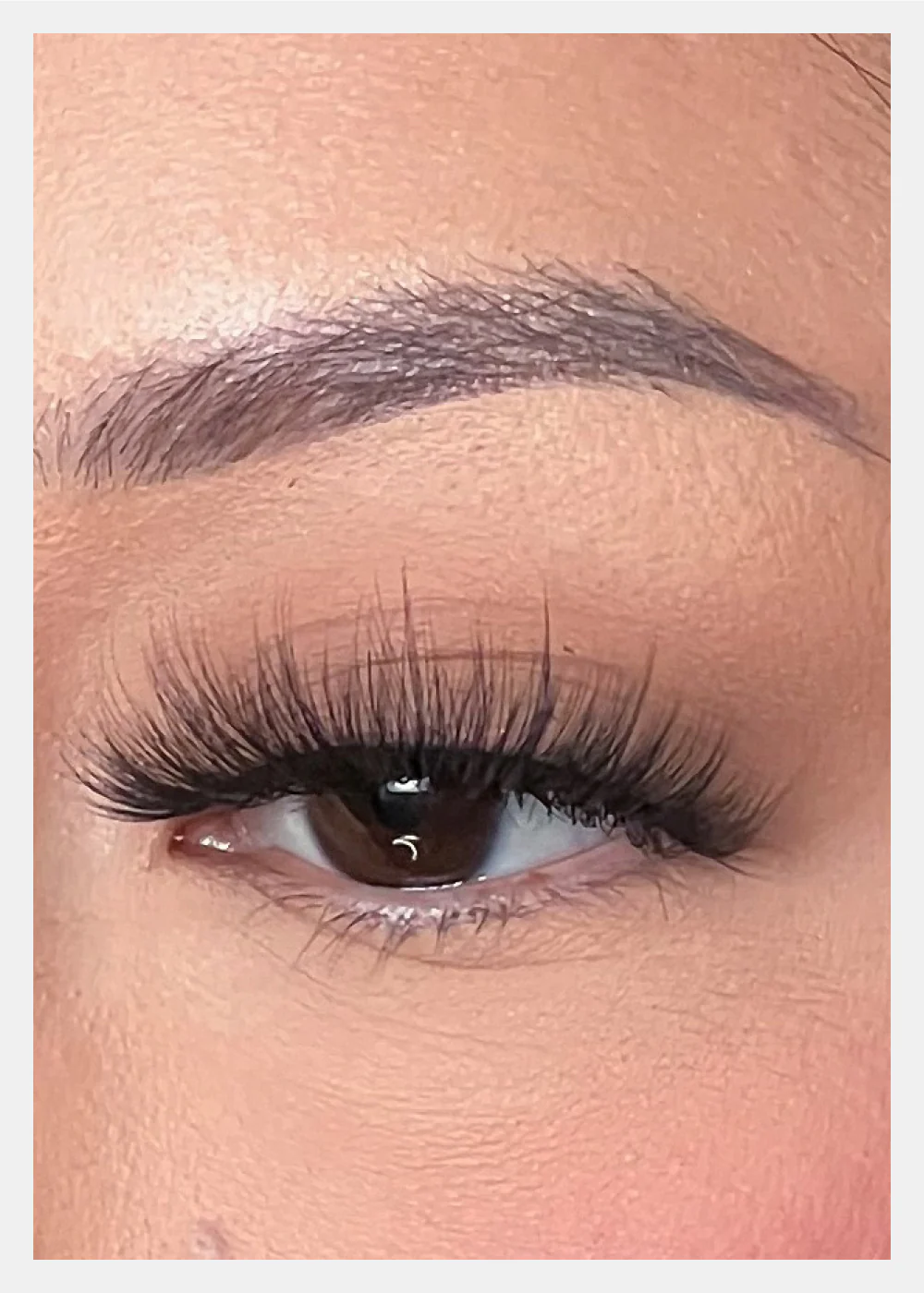 D-LUX Curl Premium Faux Mink Lashes - Ava - Image 3