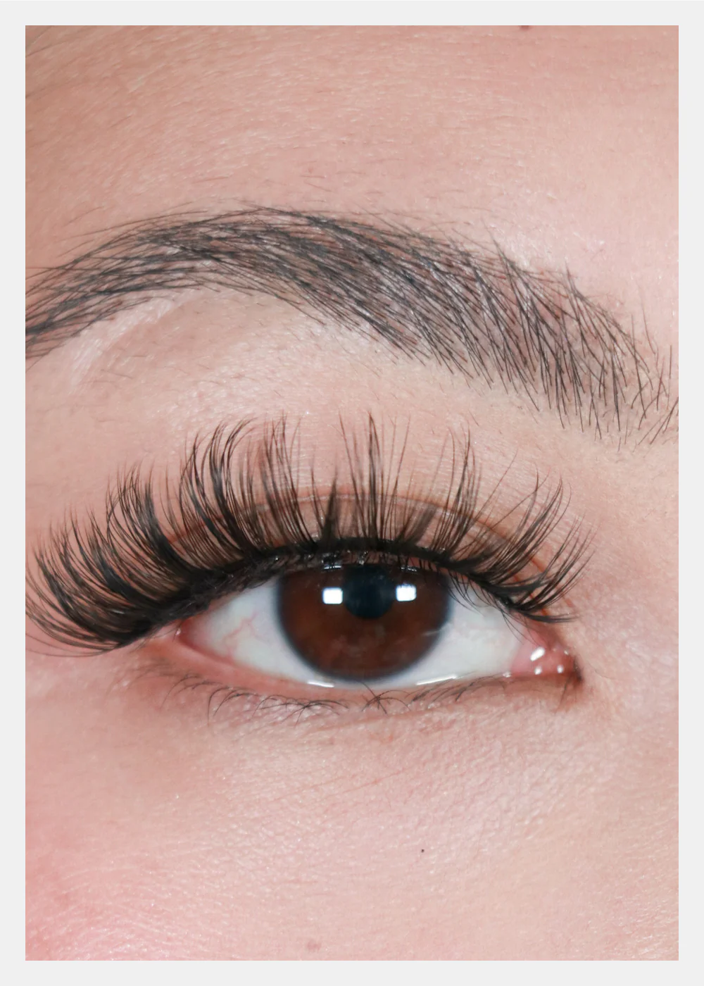 D-LUX Curl Premium Faux Mink Lashes - Bette - Image 2