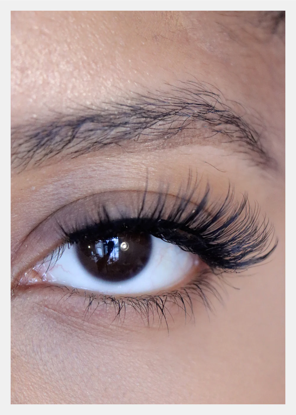 D-LUX Curl Premium Faux Mink Lashes - Diahann - Image 2