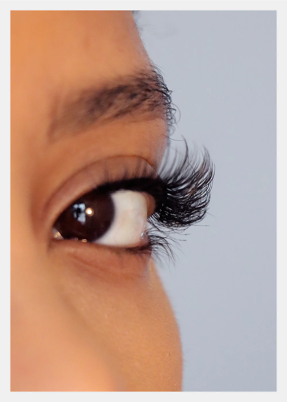 D-LUX Curl Premium Faux Mink Lashes - Diahann - Image 3