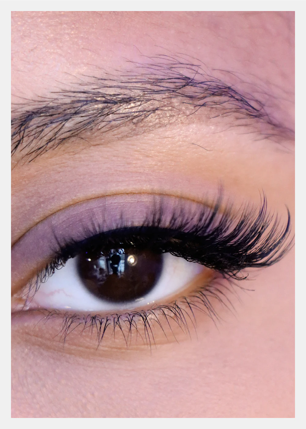 D-LUX Curl Premium Faux Mink Lashes - Grace - Image 2