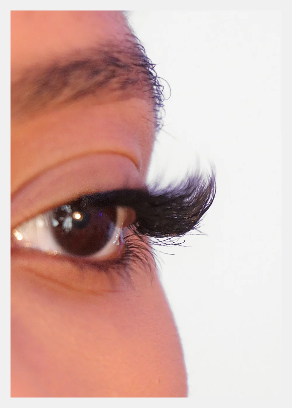 D-LUX Curl Premium Faux Mink Lashes - Grace - Image 3