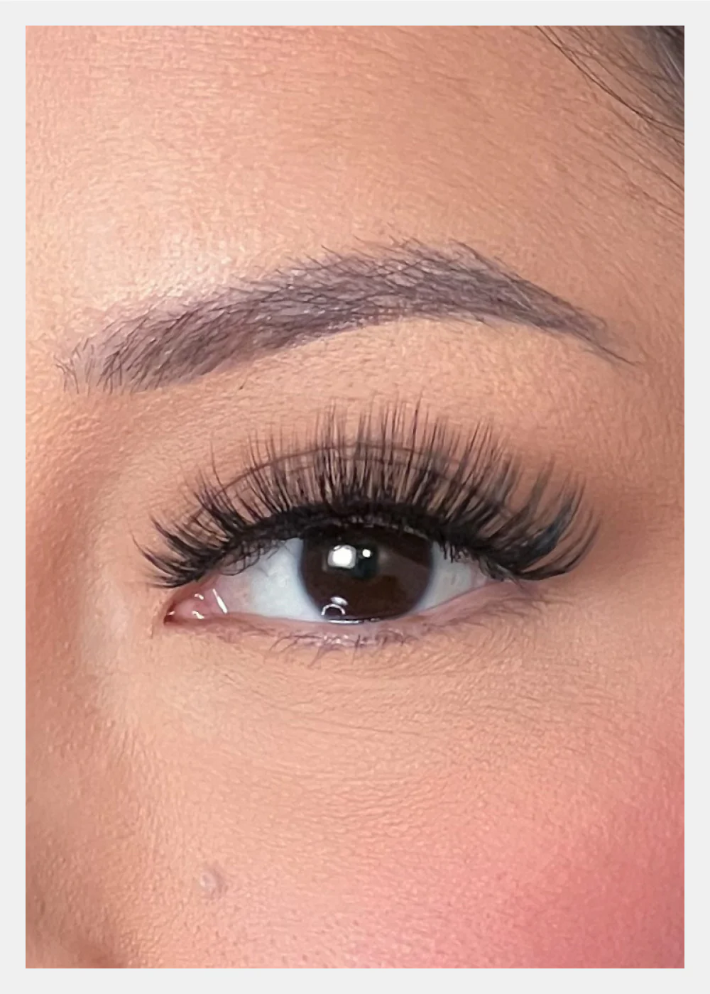 D-LUX Curl Premium Faux Mink Lashes - Hedy - Image 2