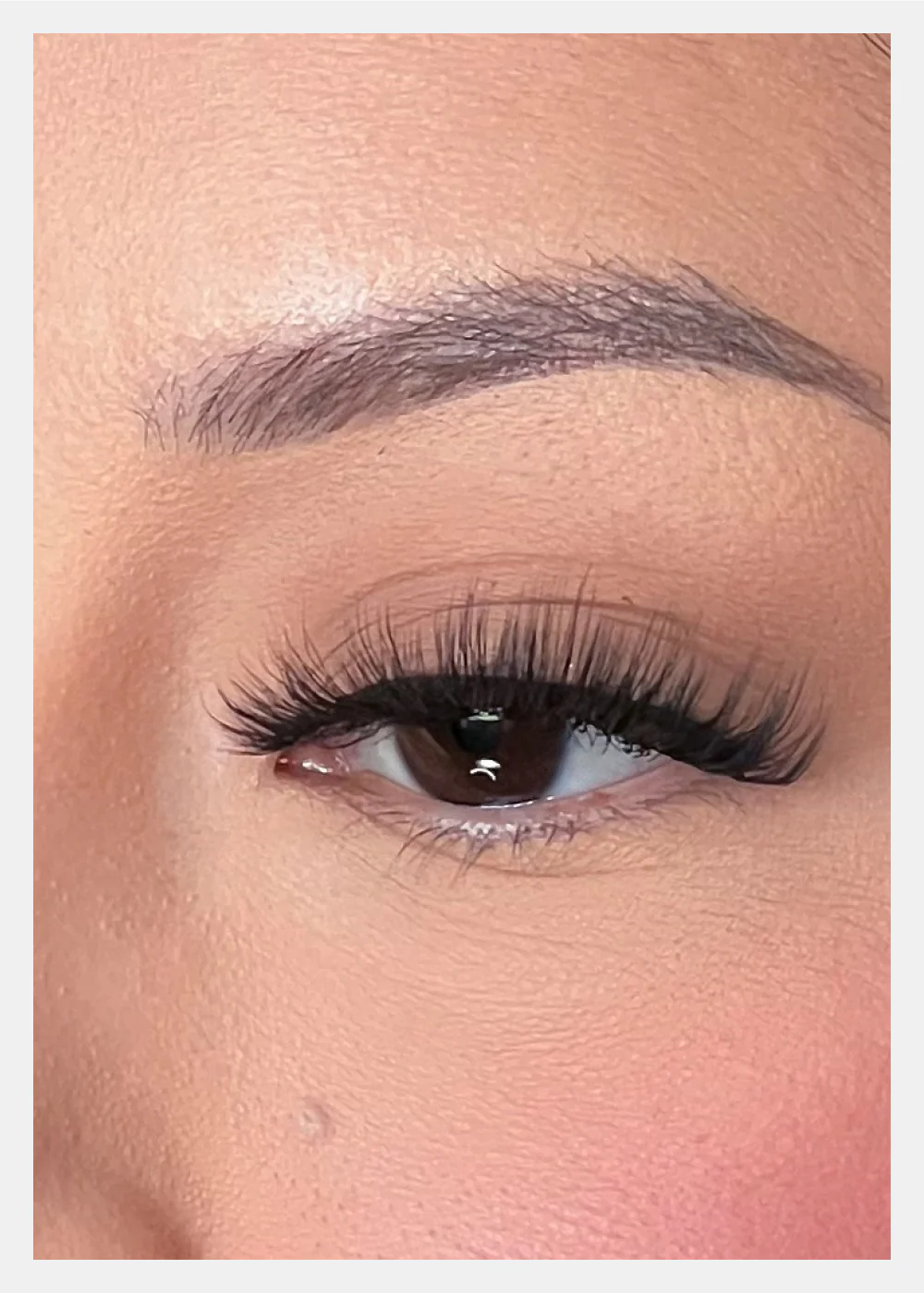 D-LUX Curl Premium Faux Mink Lashes - Hedy - Image 3