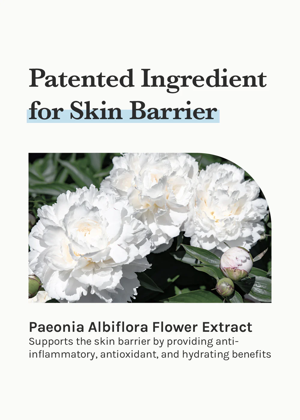 Dr. Althea 147 Barrier Cream 50ml - Image 4