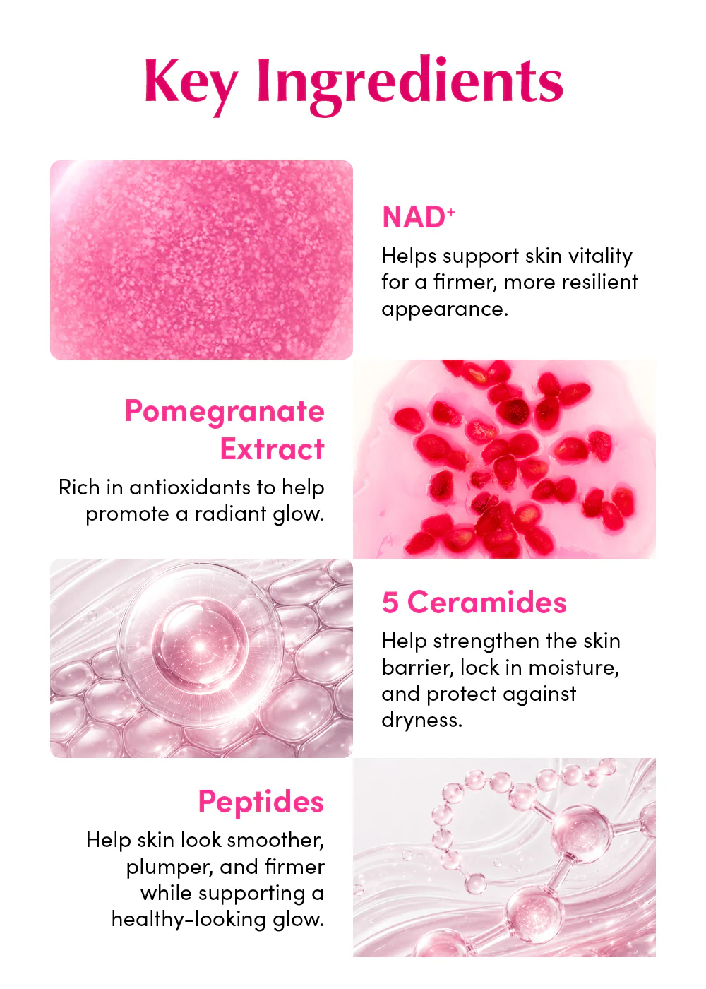 EQQUALBERRY NAD+ Peptide Boosting Serum 30ml - Image 8