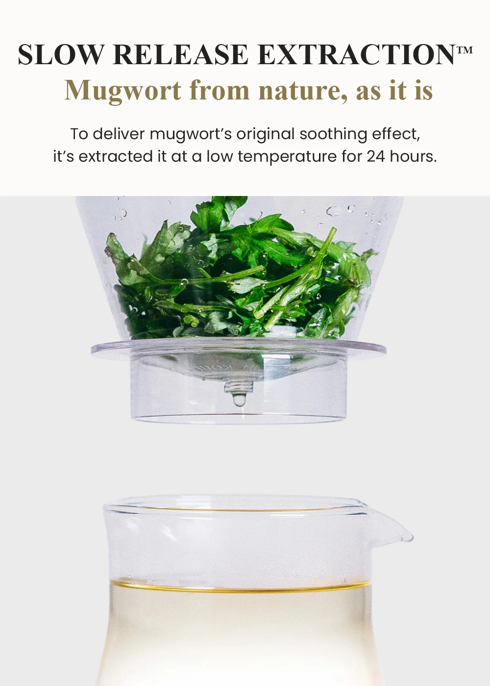 I’m from Mugwort Cream 50g - Image 4