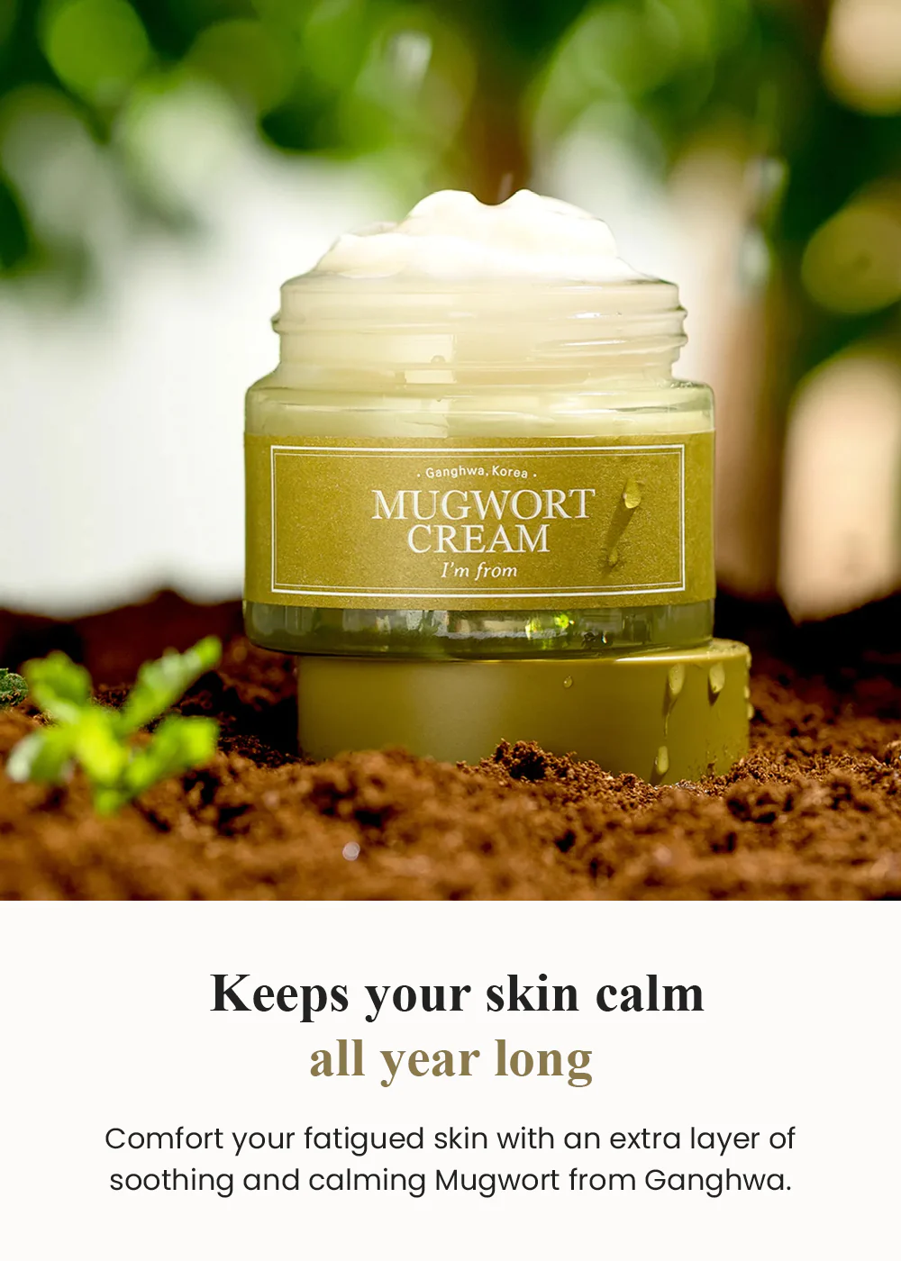 I’m from Mugwort Cream 50g - Image 5