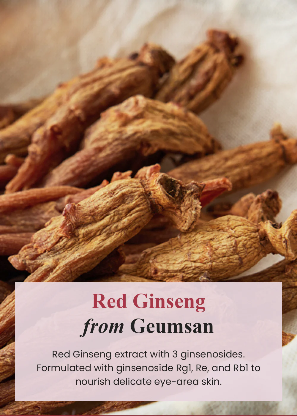 I'm from Ginseng Eye Cream 30ml - Image 5