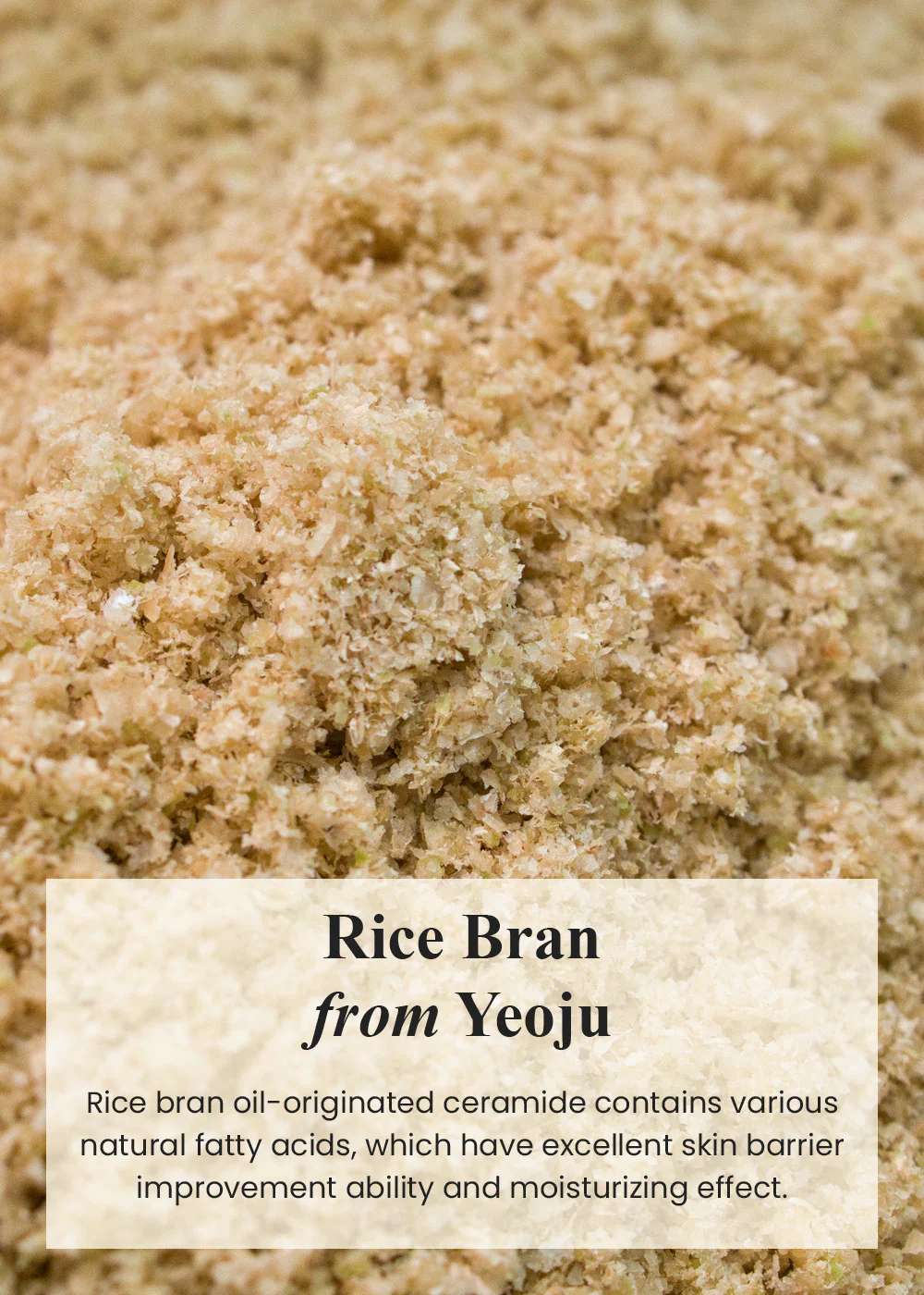 I’m from Rice Cream 50g - Image 3