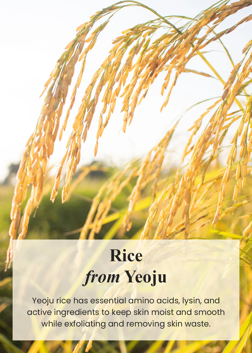 I’m from Rice Mask 110g - Image 3