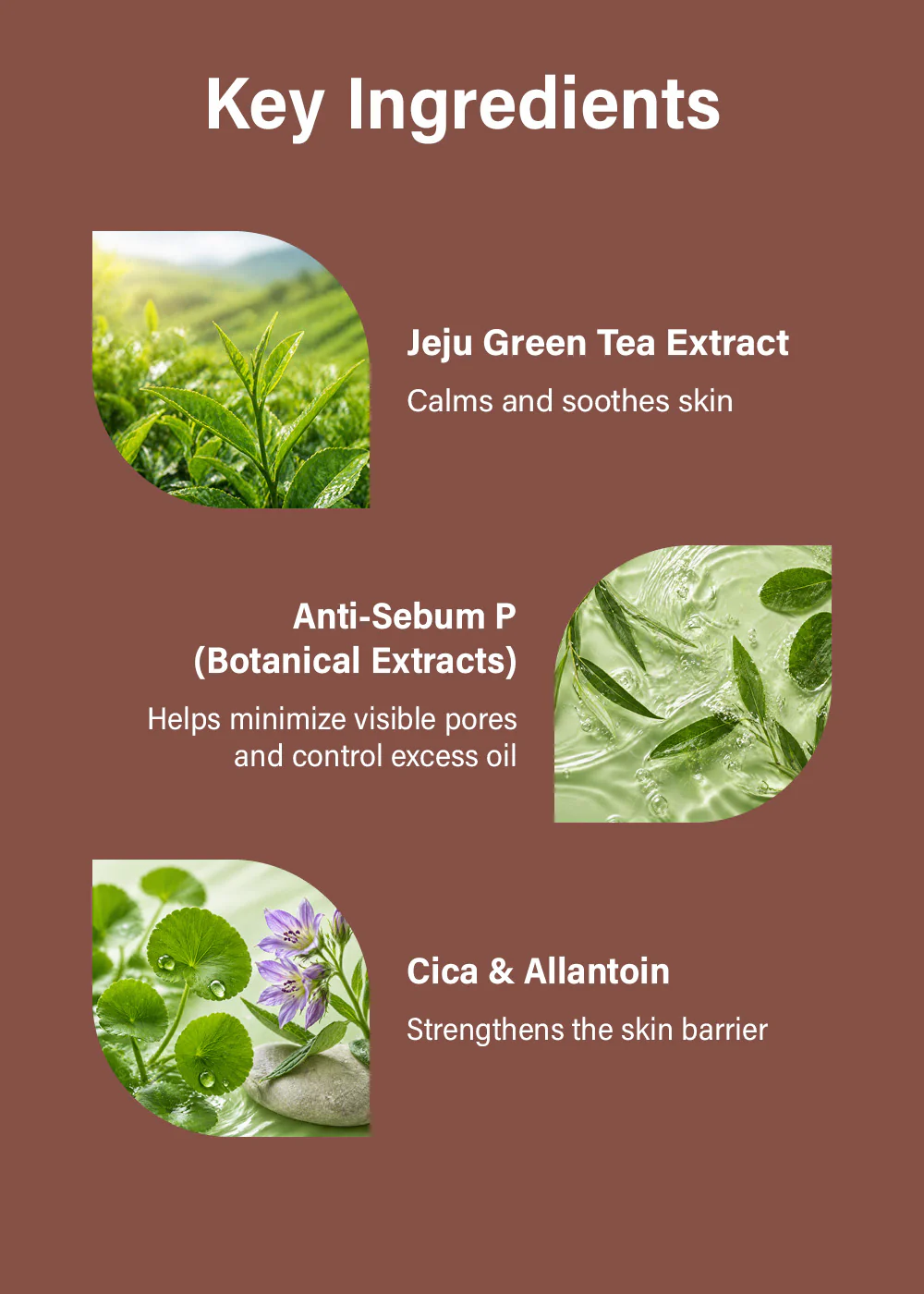 Isntree Green Tea Fresh Toner 200ml - Image 5