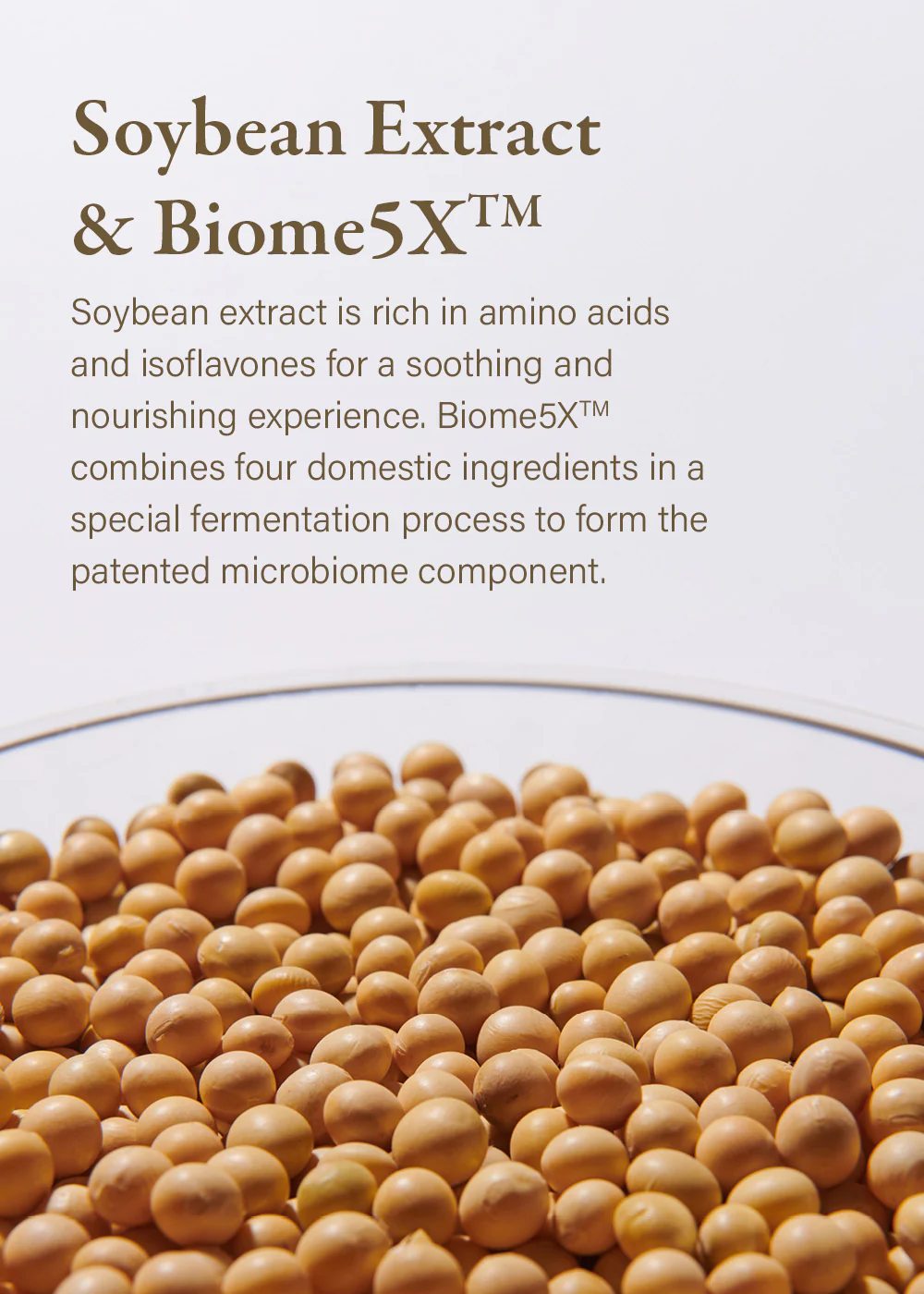 mixsoon Bean Toner 300ml - Image 3