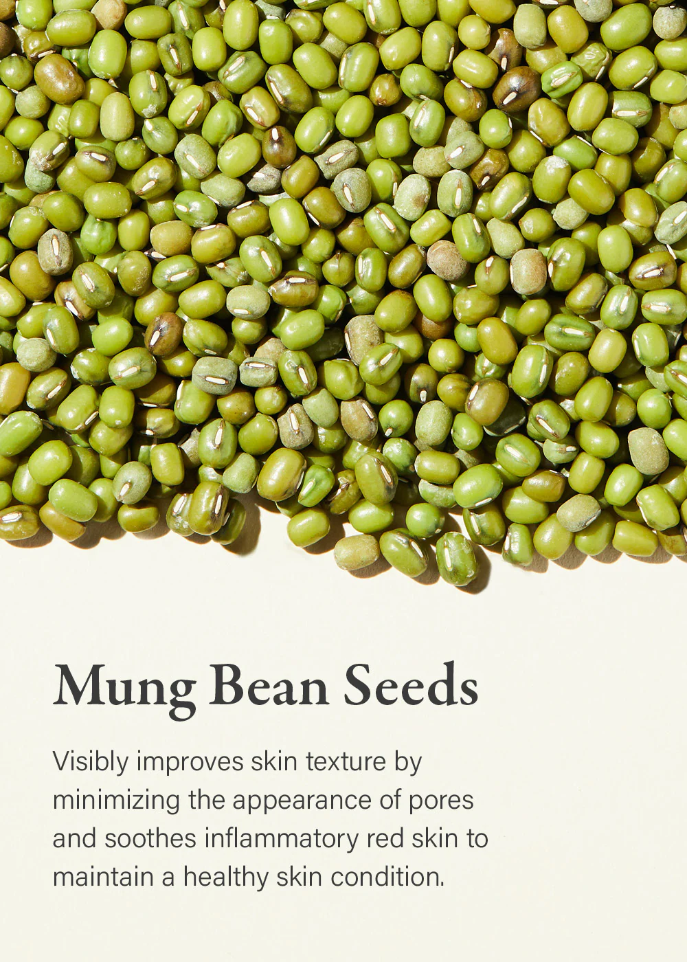 mixsoon Mung Bean Seed Essence 100ml - Image 3