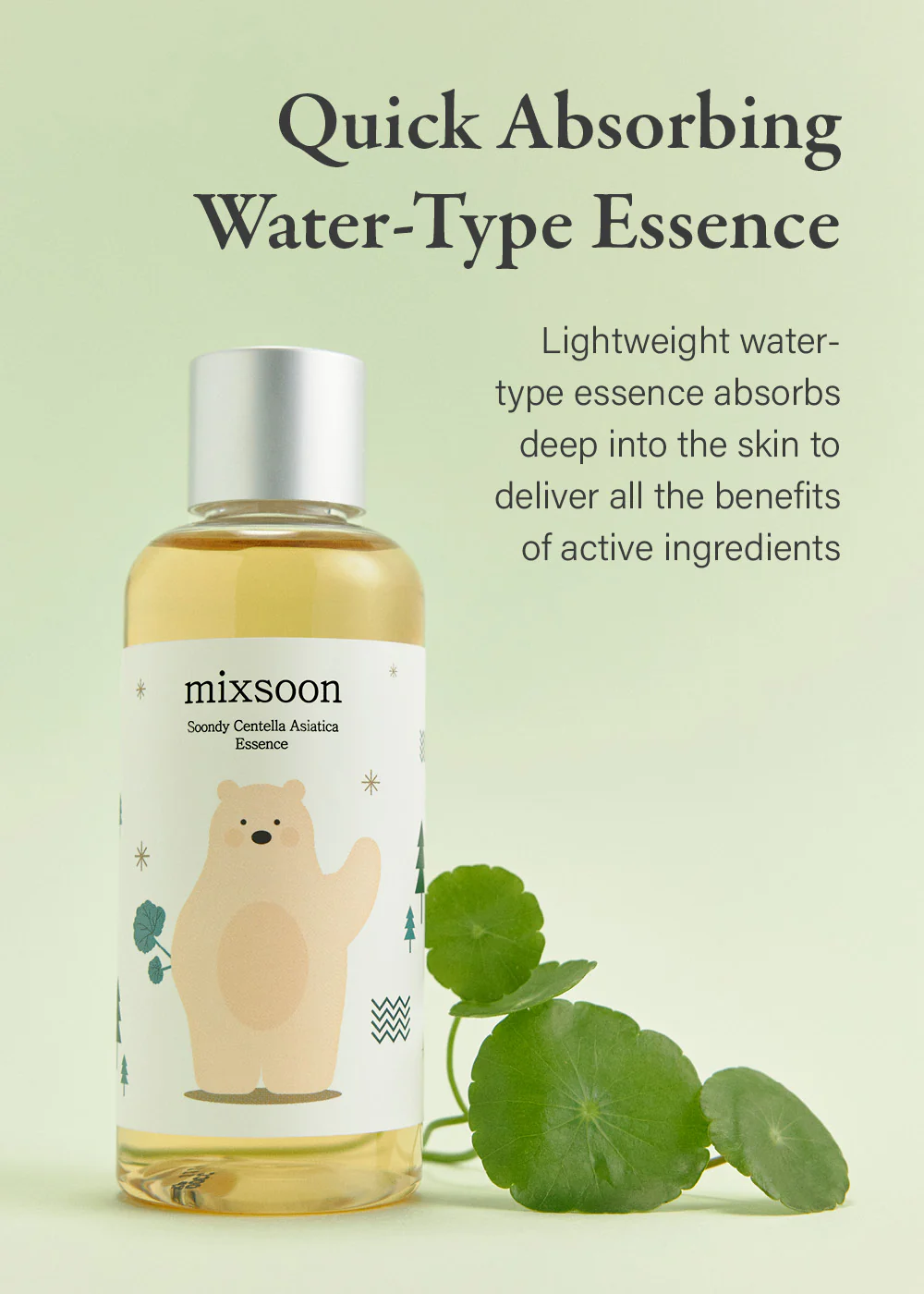mixsoon Soondy Centella Asiatica Essence 100ml - Image 4