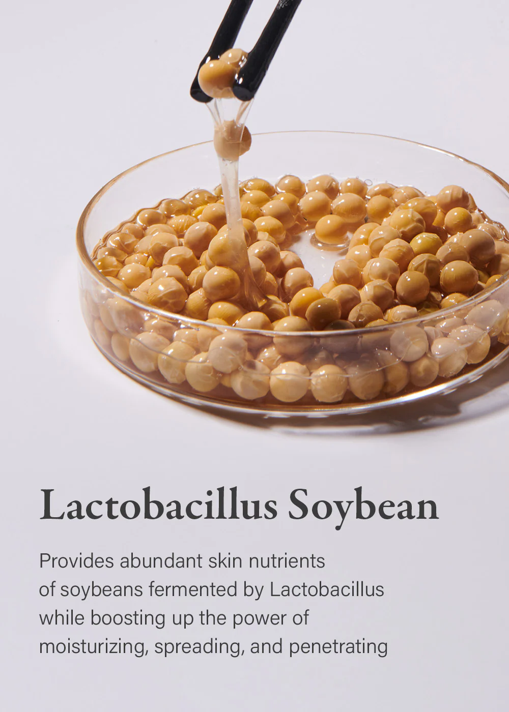 mixsoon Soybean Milk Pad (10 Pack) - Image 4