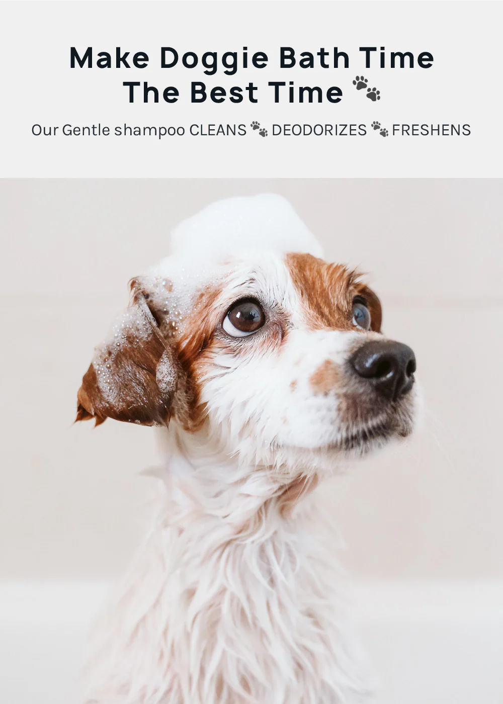 Natural Dog Shampoo - Image 2