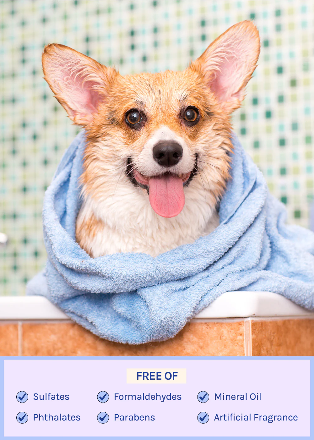 Natural Dog Shampoo - Image 7