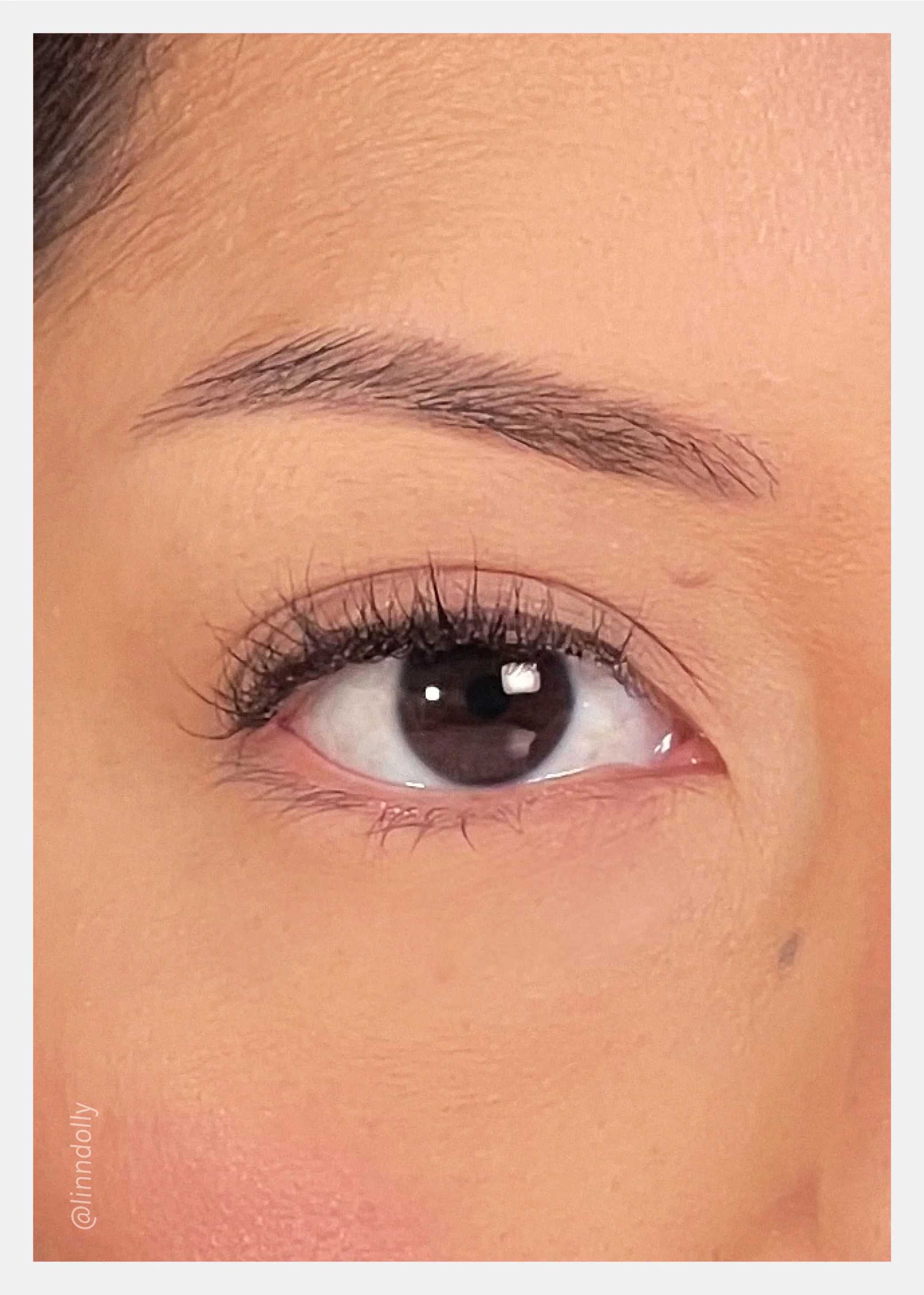 Nearly Naked Lashes – Elegant - Image 2
