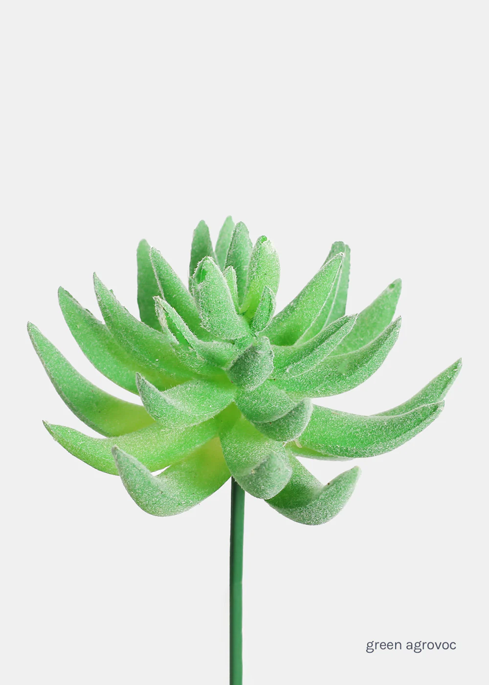 Official Key Items Artificial Succulents - Green Agrovoc