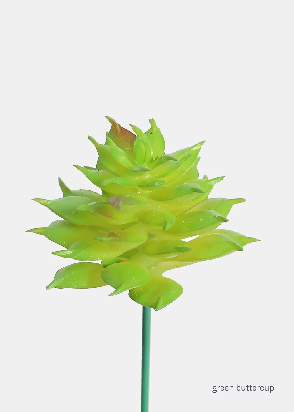 Official Key Items Artificial Succulents - Green Buttercup