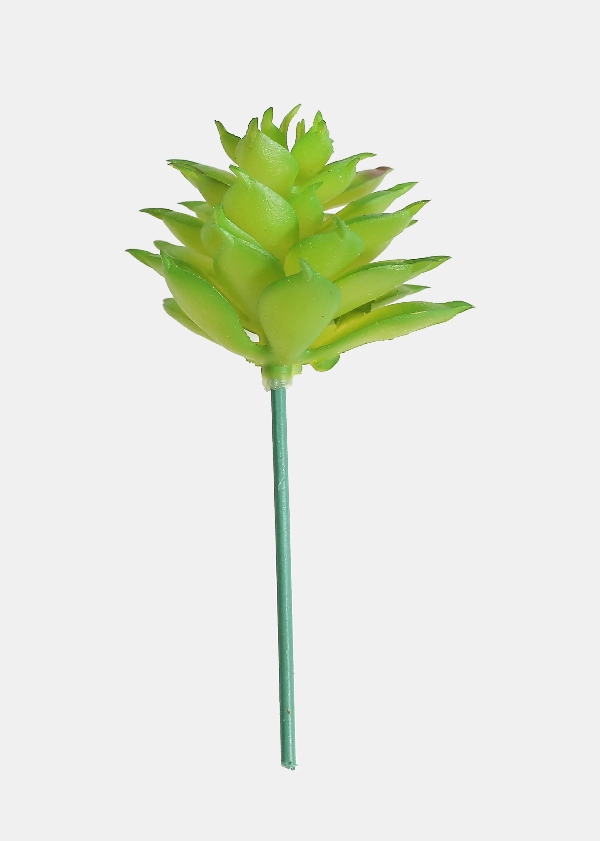 Official Key Items Artificial Succulents - Green Buttercup - Image 2