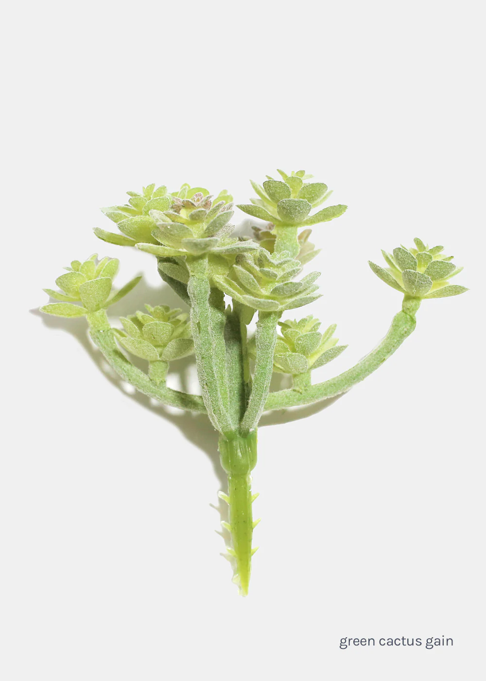 Official Key Items Artificial Succulents - Green Cactus Gain