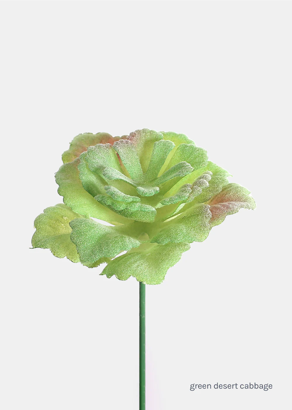 Official Key Items Artificial Succulents - Green Desert Cabbage