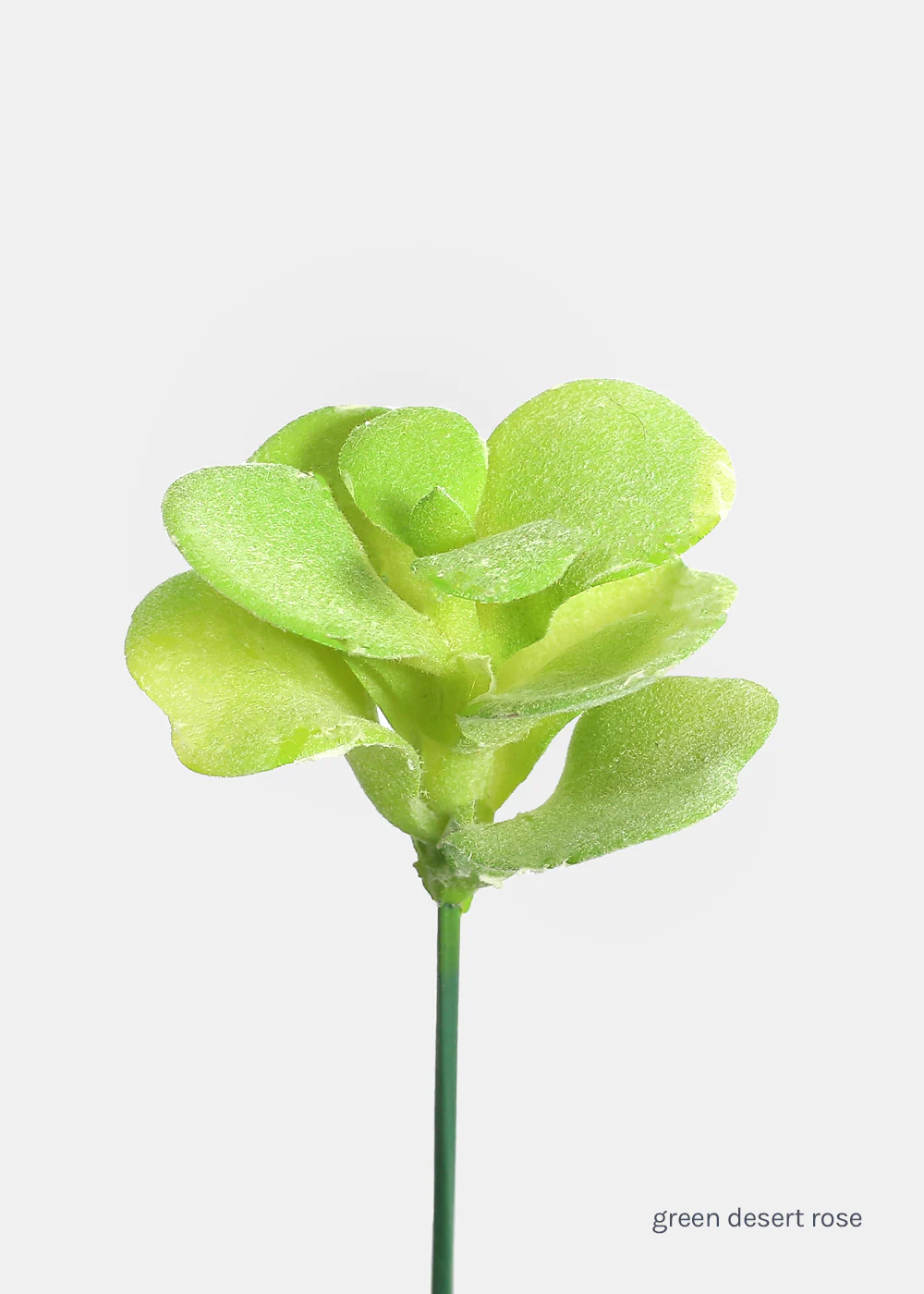 Official Key Items Artificial Succulents - Green Desert Rose